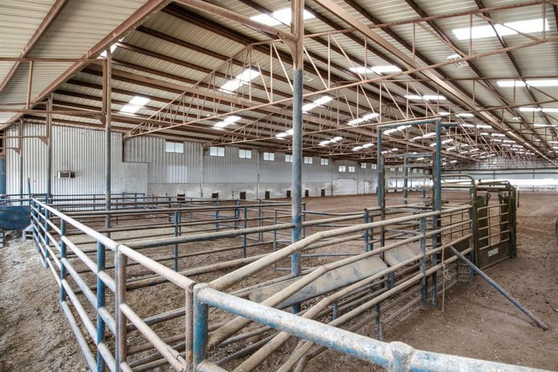 278 County Road 182, Gainesville TX 76240 - Photo 5