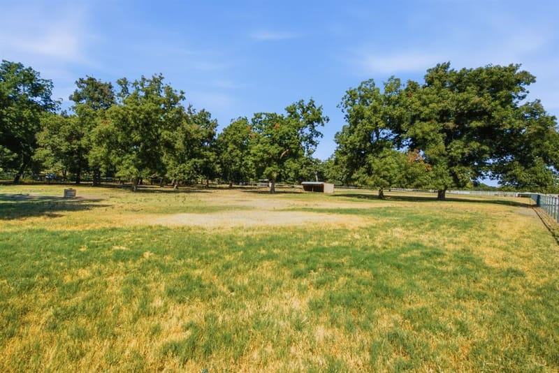 278 County Road 182, Gainesville TX 76240 - Photo 25