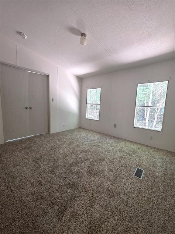 942 Balmorea Drive, Bullard TX 75757 - Photo 28