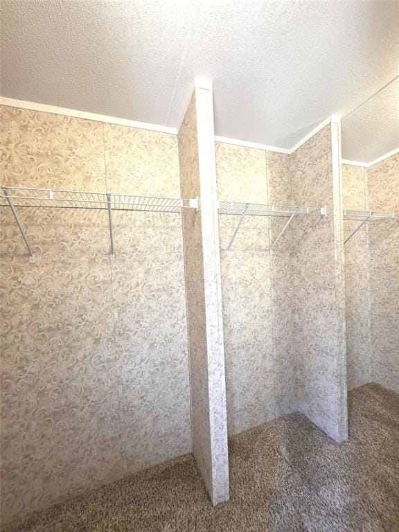942 Balmorea Drive, Bullard TX 75757 - Photo 20