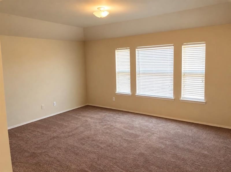 201 Pagoda Drive, Anna TX 75409 - Photo 5