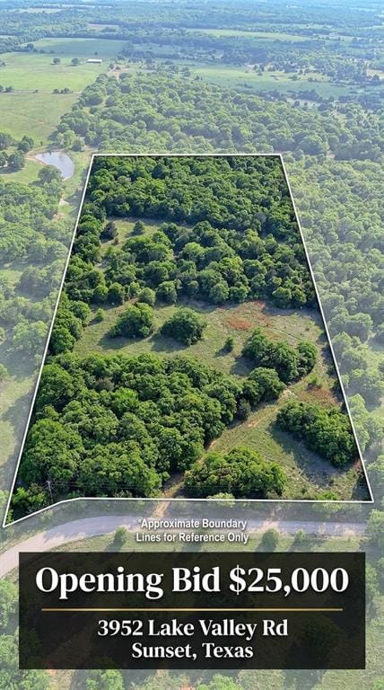 3952 Lake Valley Rd, Sunset TX 76270 - Photo 6