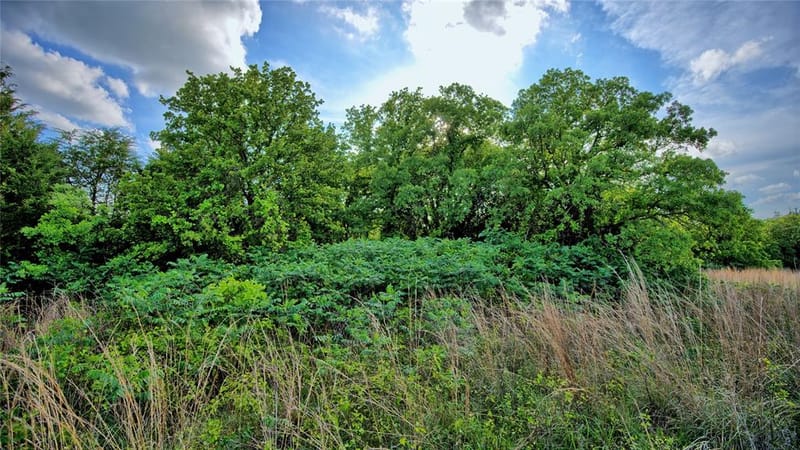 3952 Lake Valley Rd, Sunset TX 76270 - Photo 11