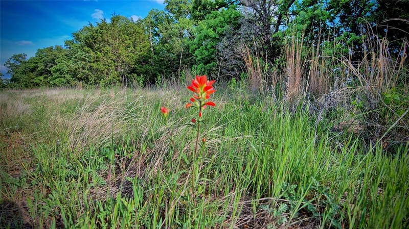 3952 Lake Valley Rd, Sunset TX 76270 - Photo 19