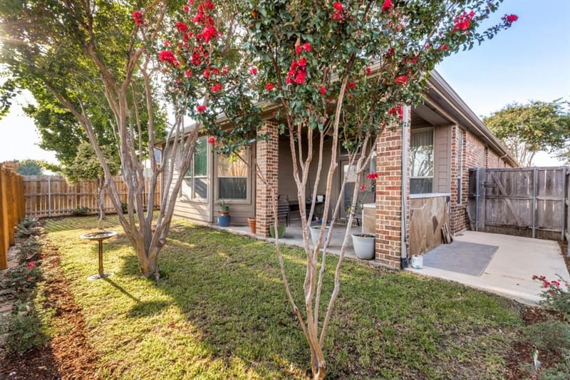 289 Hawthorn Drive, Fate TX 75087 - Photo 25