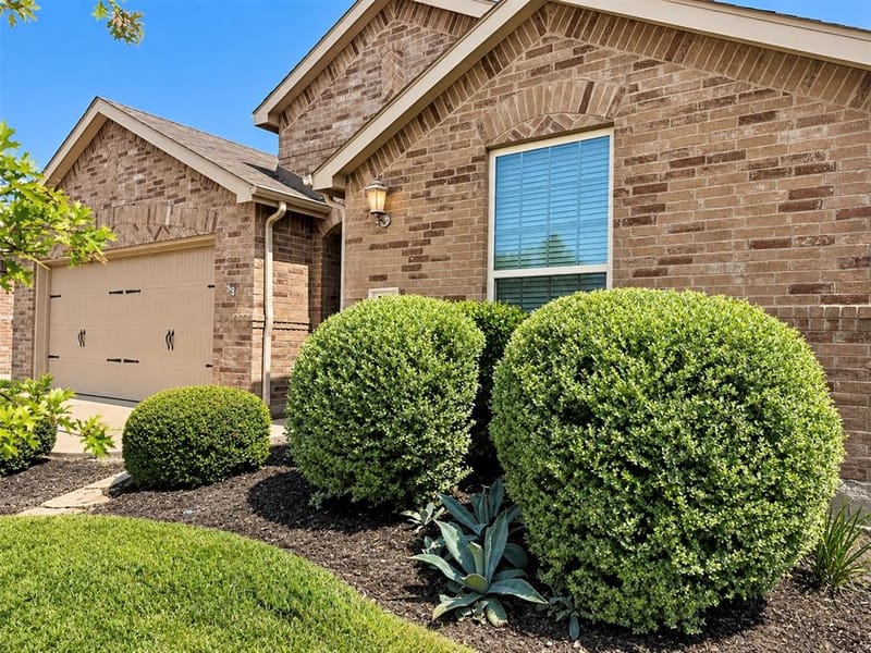 1131 Grimes Drive, Forney TX 75126 - Photo 21