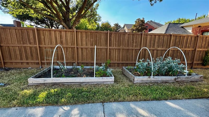 3912 Kimbrough Lane, Plano TX 75025 - Photo 27