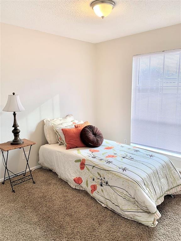 511 Jupiter, Denton TX 76209 - Photo 13