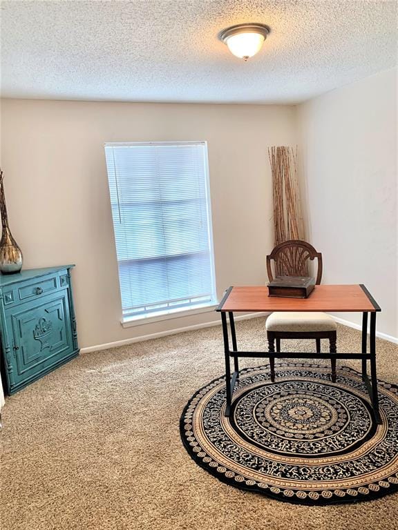511 Jupiter, Denton TX 76209 - Photo 14