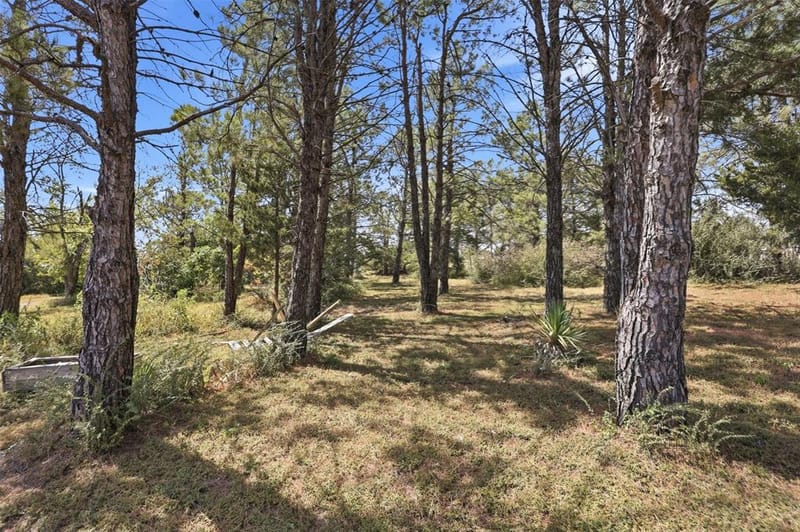 88 Green Meadow Drive, Valley View TX 76272 - Photo 17