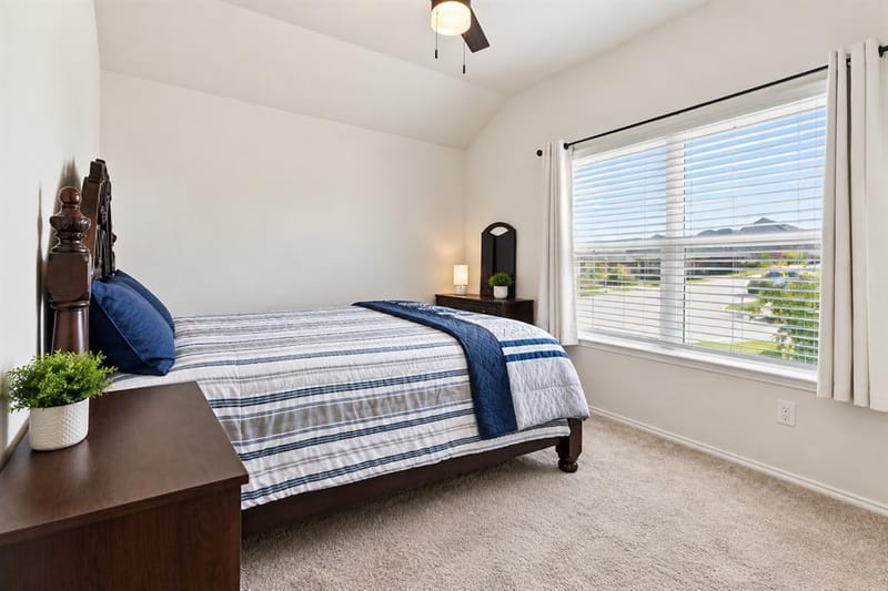 1810 Alamandine Avenue, Cross Roads TX 76227 - Photo 13