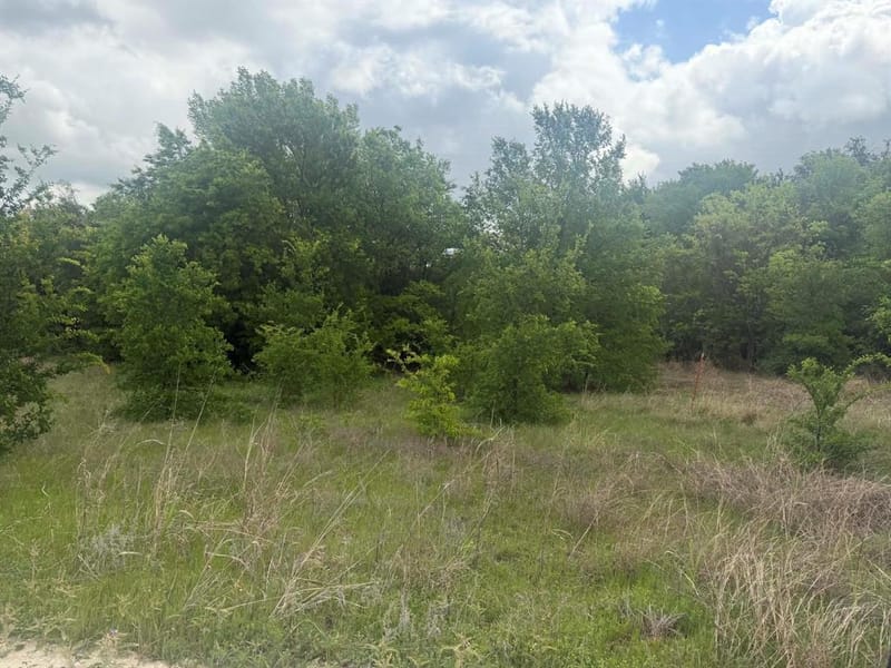 1085 Highland Circle, Springtown TX 76082 - Photo 27