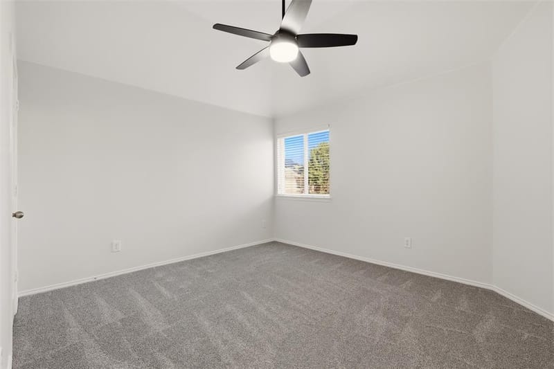 3210 Reagenea Drive, Wylie TX 75098 - Photo 29