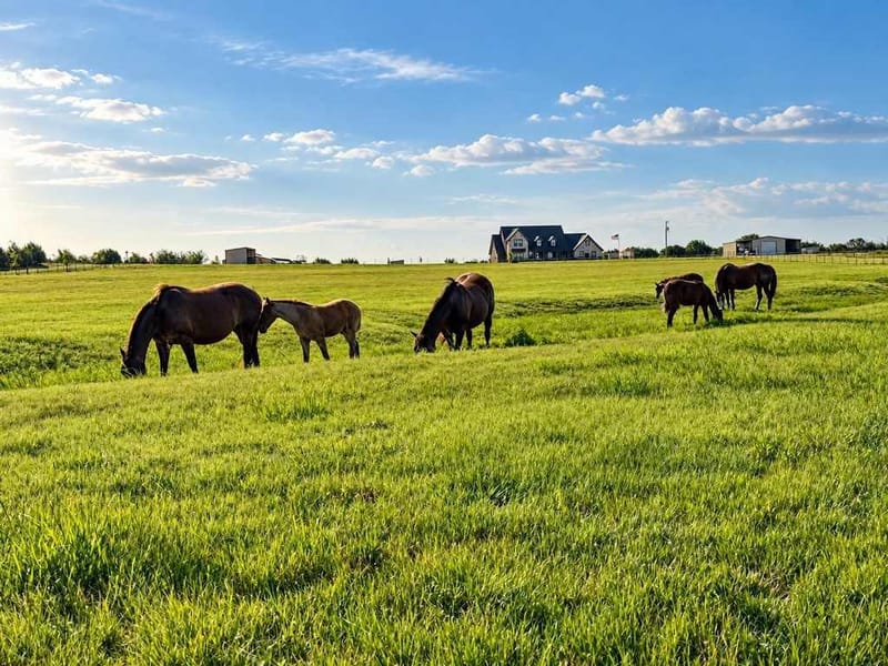 417 County Road 60, Gatesville TX 76528 - Photo 40