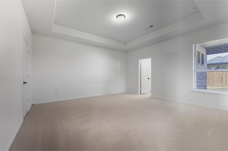 1428 Bettolo Drive, Celina TX 75009 - Photo 19