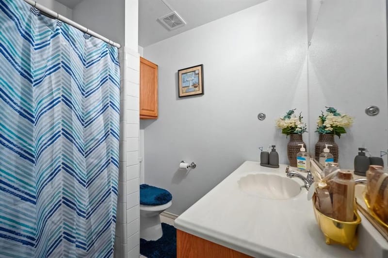 717 Eldorado Drive, DeSoto TX 75115 - Photo 22