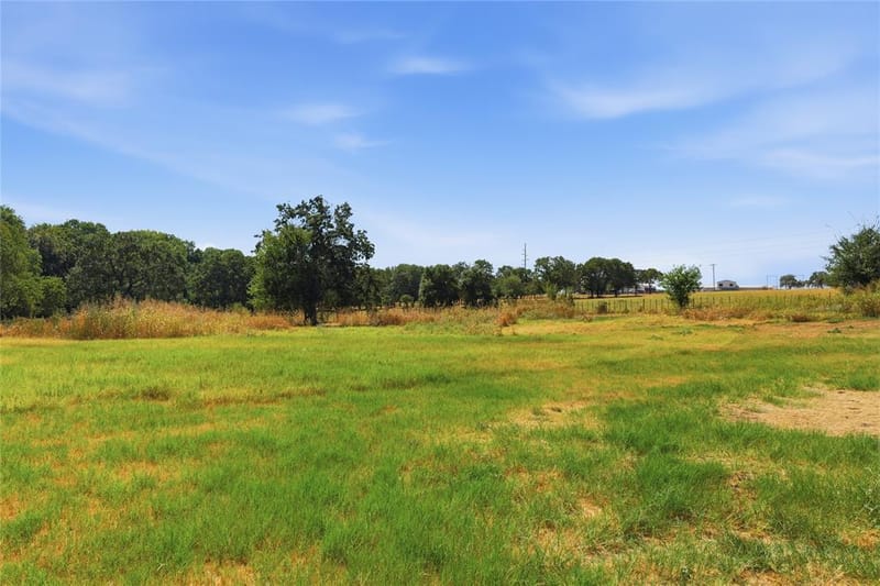 1001 Green Tree Drive, Weatherford TX 76087 - Photo 36
