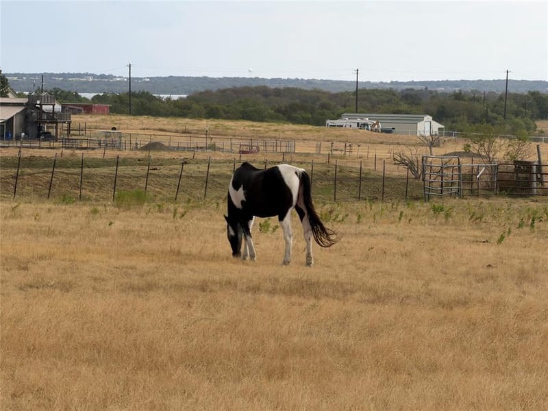 1690 Lawlis Lane, Sanger TX 76266 - Photo 31