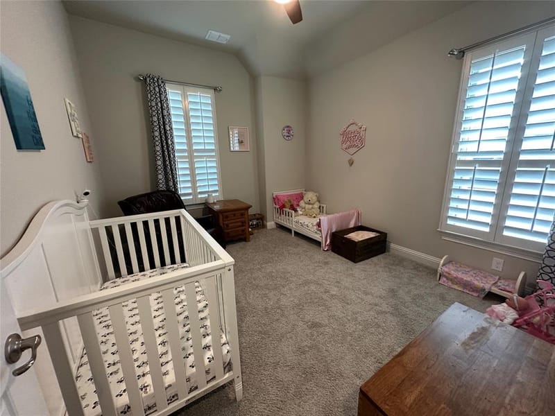 2805 Maverick Way, Celina TX 75009 - Photo 4
