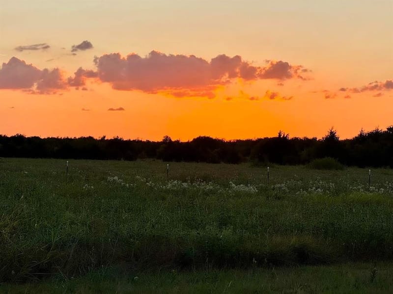 20132 County Road 818, Farmersville TX 75442 - Photo 2