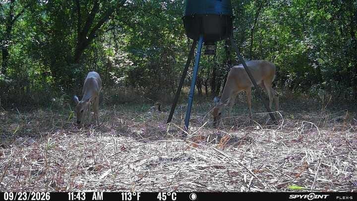 20132 County Road 818, Farmersville TX 75442 - Photo 6