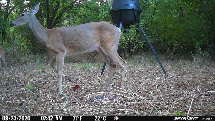 20132 County Road 818, Farmersville TX 75442 - Photo 7