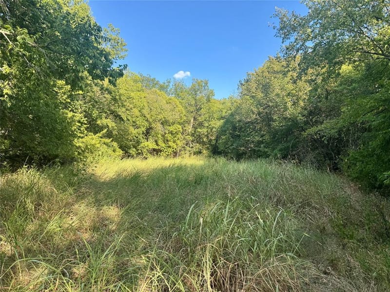 20132 County Road 818, Farmersville TX 75442 - Photo 5