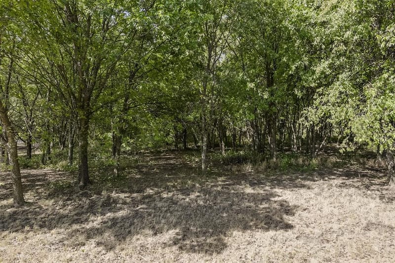 505 Boz Road, Waxahachie TX 75167 - Photo 36