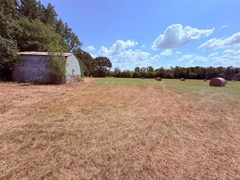 3637 County Road 2403, Winnsboro TX 75494 - Photo 5