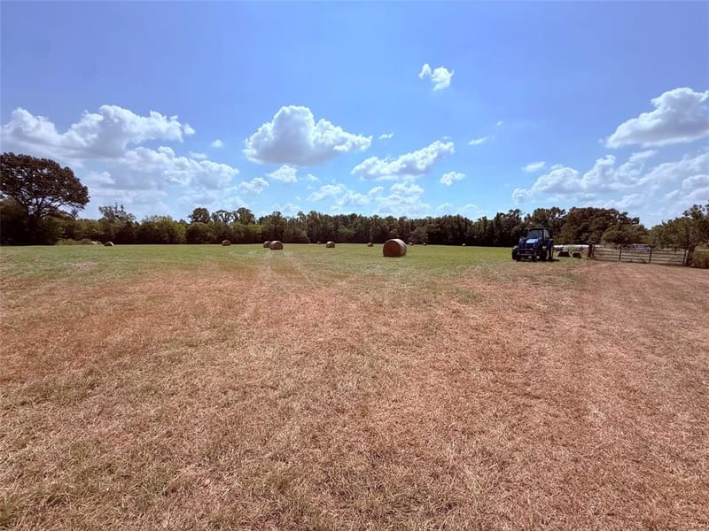 3637 County Road 2403, Winnsboro TX 75494 - Photo 4