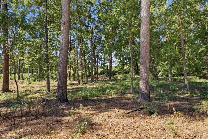 167 CR 3689, No City TX 75755 - Photo 23