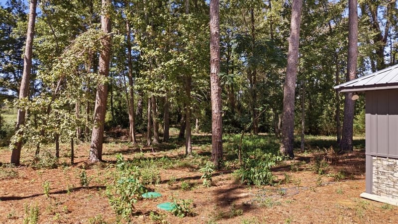 167 CR 3689, No City TX 75755 - Photo 22