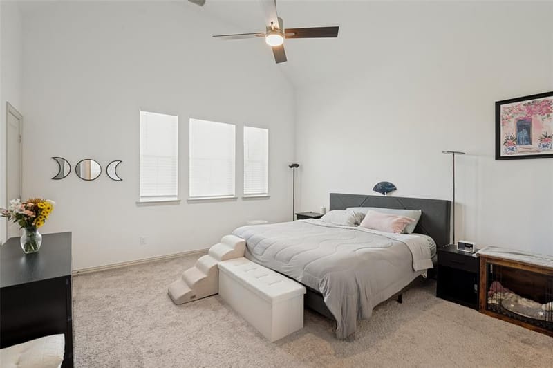 917 Utica Drive, McKinney TX 75069 - Photo 17