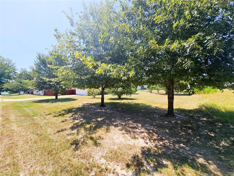 175 Private Road 6605, Mineola TX 75773 - Photo 28