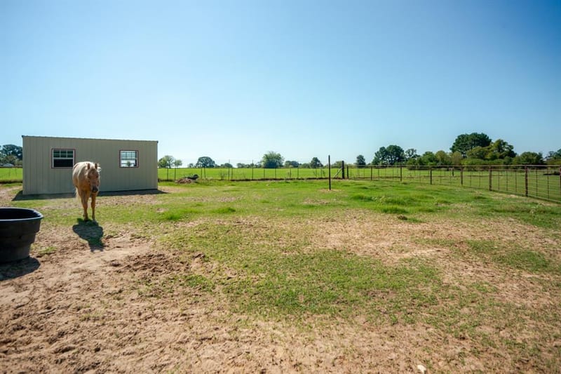 2548 Fm 857, Grand Saline TX 75140 - Photo 7