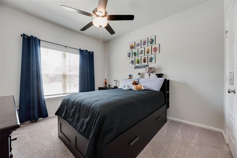 14137 Birch Farm Drive, Pilot Point TX 76258 - Photo 9