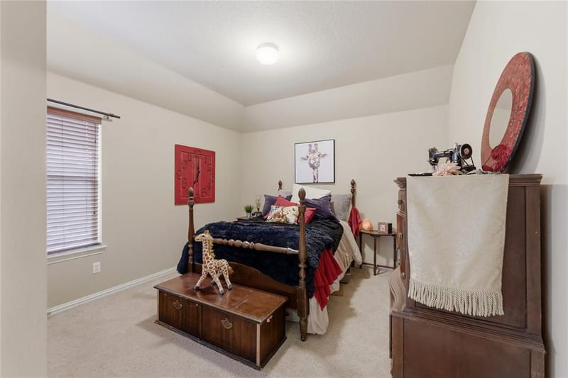 4425 Don Drive, Mansfield TX 76063 - Photo 14