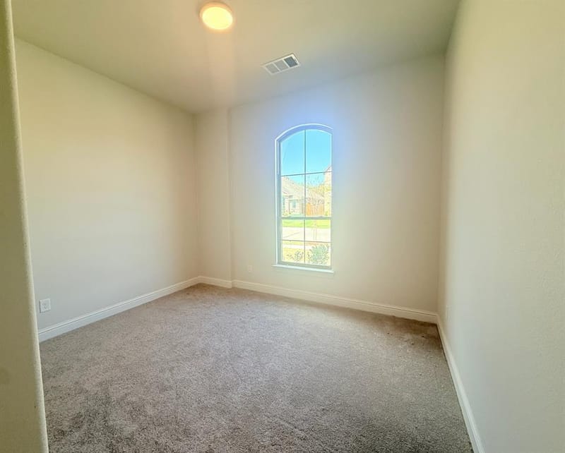317 Aurora Hills Trail, Burleson TX 76028 - Photo 4