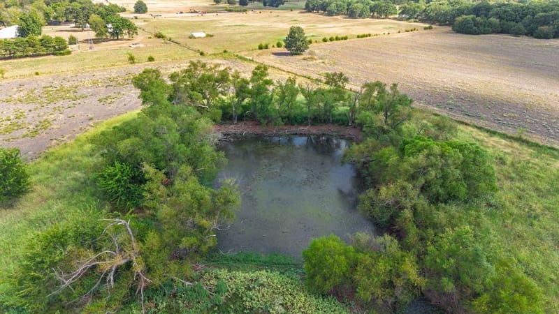 7959 County Road 4823, Wolfe City TX 75496 - Photo 16