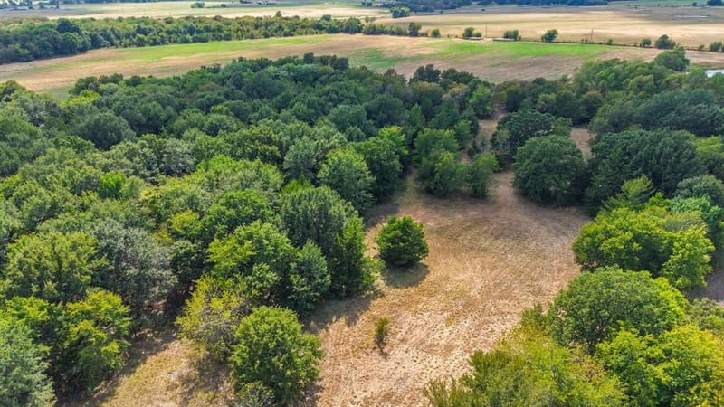 7959 County Road 4823, Wolfe City TX 75496 - Photo 12