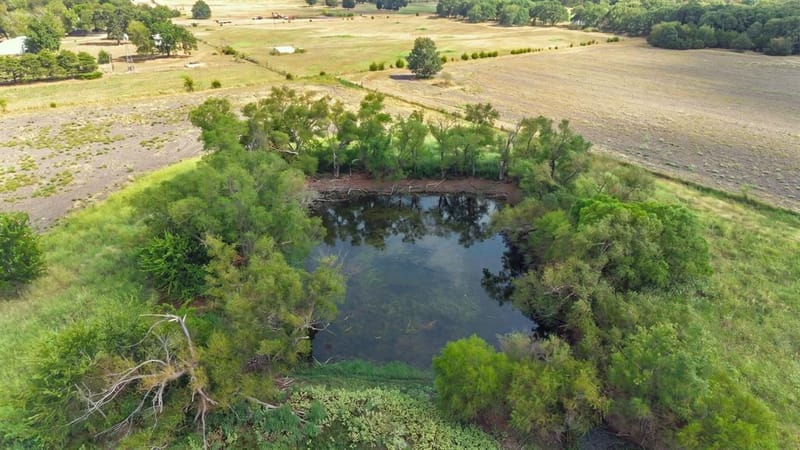 7959 County Road 4823, Wolfe City TX 75496 - Photo 20