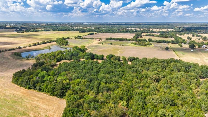 7959 County Road 4823, Wolfe City TX 75496 - Photo 9