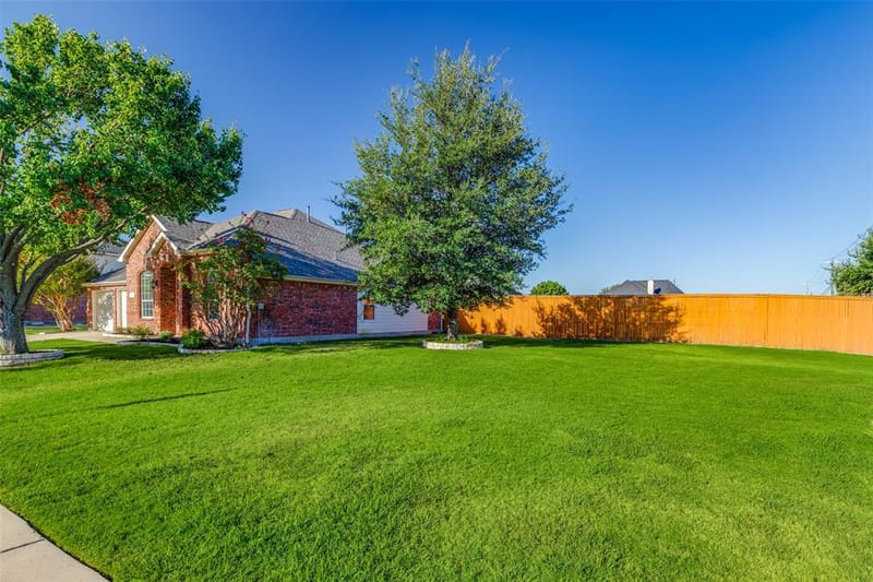 881 Sibyl Lane, Prosper TX 75078 - Photo 25
