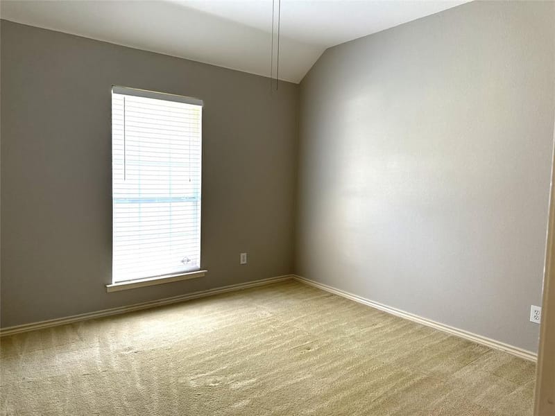 1419 Glendover Drive, Allen TX 75013 - Photo 19