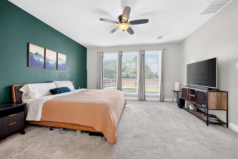 3500 Bristle Cone Drive, Little Elm TX 75068 - Photo 11