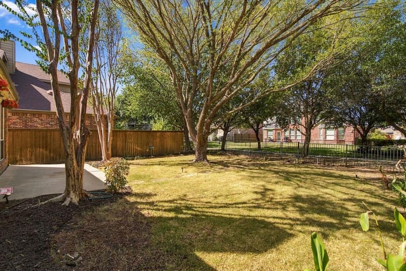 9991 Slick Rock Trail, Frisco TX 75033 - Photo 30