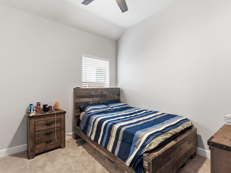 1625 Windflower Drive, Aubrey TX 76227 - Photo 31