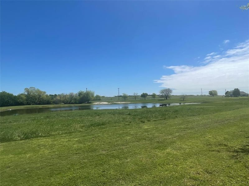2196 Bledsoe Road, Gunter TX 75058 - Photo 7