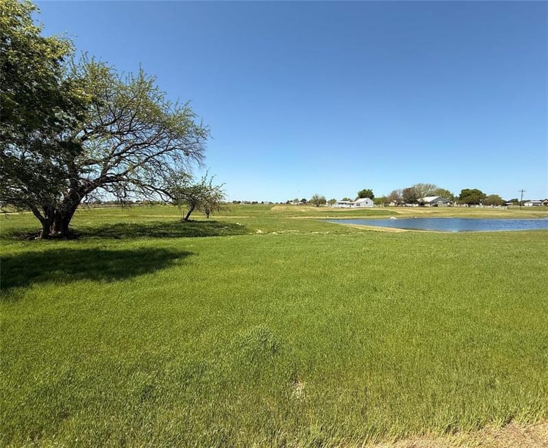 2196 Bledsoe Road, Gunter TX 75058 - Photo 8
