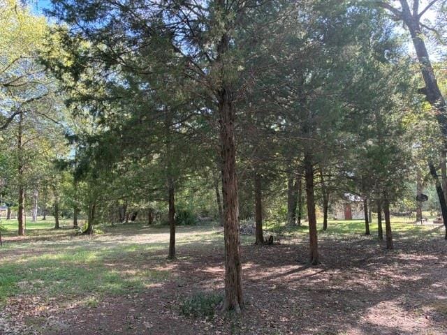 14344 Jim Bowie, Log Cabin TX 75148 - Photo 28